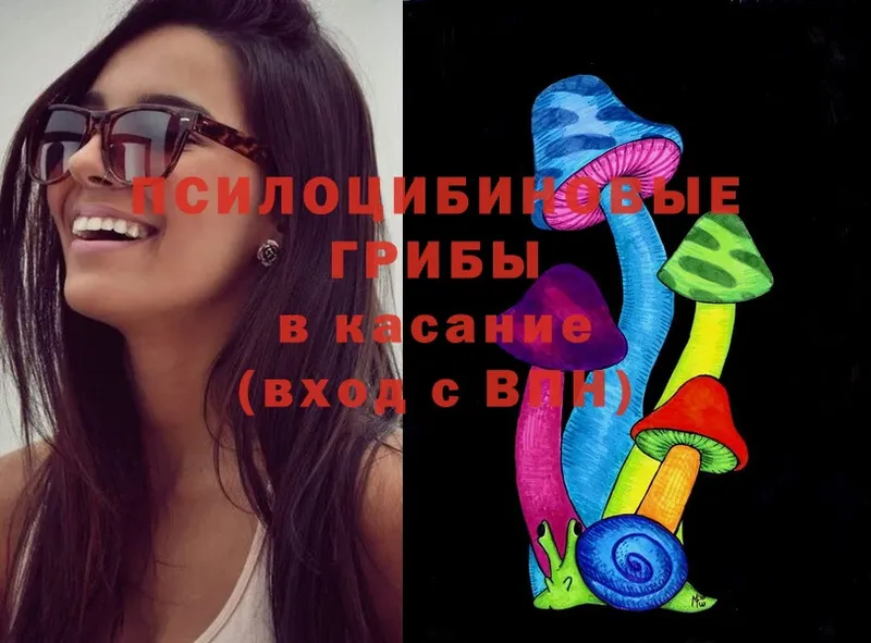 Псилоцибиновые грибы Cubensis  ссылка на мегу как зайти  Туймазы 